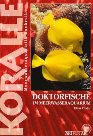 Doktorfische im Meerwasseraquarium de Ellen Thaler