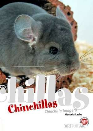 Chinchillas de Manuela Laabs