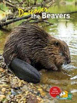 Discover the Beavers de Uli Messlinger