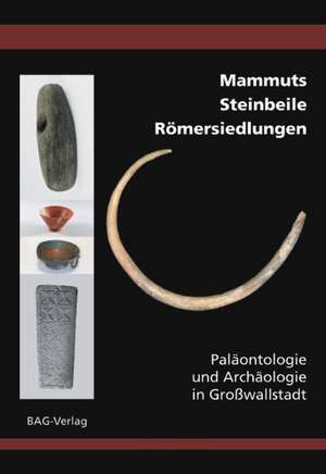 Mammuts . Steinbeile . Römersiedlungen de Alexander Reis