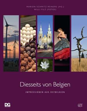 Diesseits von Belgien de Marion Schmitz-Reiners