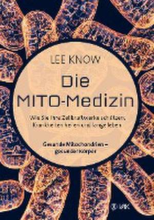 Die Mito-Medizin de Lee Know