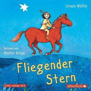 Fliegender Stern de Ursula Wölfel