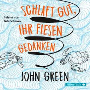 Schlaft gut, ihr fiesen Gedanken de John Green