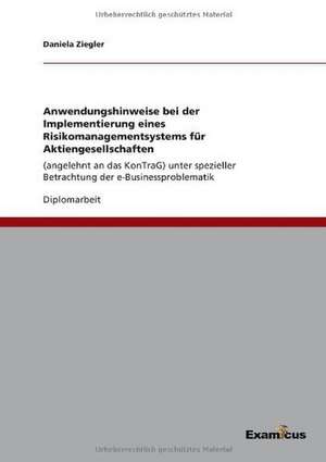 Anwendungshinweise bei der Implementierung eines Risikomanagementsystems für Aktiengesellschaften de Daniela Ziegler