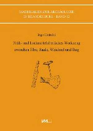 Früh- und hochmittelalterliches Werkzeug zwischen Elbe, Saale, Weichsel und Bug de Ingo Heindel