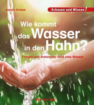 Wie kommt das Wasser in den Hahn? de Karolin Küntzel