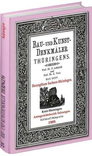 Bau- und Kunstdenkmäler Thüringens 35. Kreis Meiningen - Amtsgerichtsbezirk SALZUNGEN 1909. de Paul Lehfeldt