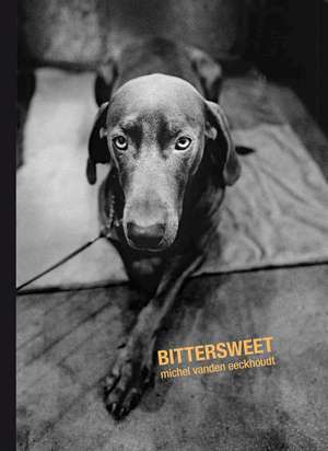 Bittersweet de Michel Vanden Eeckhoudt