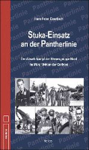 Stuka-Einsatz an der Pantherlinie de Hans Peter Eisenbach