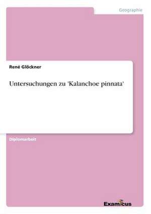 Untersuchungen zu 'Kalanchoe pinnata' de René Glöckner