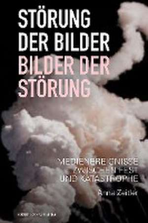 Störung der Bilder - Bilder der Störung de Anna Zeitler