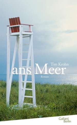 Ans Meer de Tim Krohn