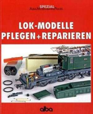 Lok-Modelle pflegen und reparieren de Gunnar Selbmann