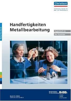 Handfertigkeiten Metallbearbeitung - Begleitheft für den Ausbilder