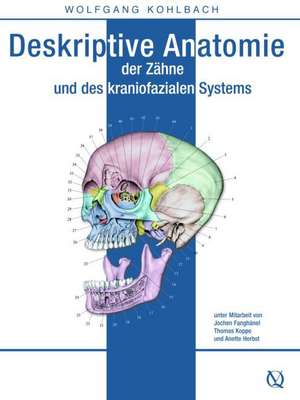 Deskriptive Anatomie der Zähne und des kraniofazialen Systems de Wolfgang Kohlbach