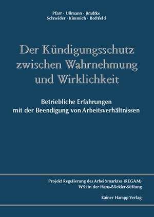 Der Kündigungsschutz zwischen Wahrnehmung und Wirklichkeit de Heide Pfarr