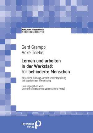 Lernen und arbeiten in der Werkstatt für behinderte Menschen de Gerd Grampp