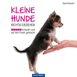 Kleine Hunde richtig erziehen de David Keulert