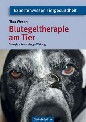 Blutegeltherapie am Tier de Tina Werner