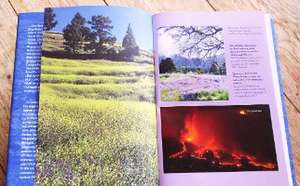 La Palma de Claudia Gehrke