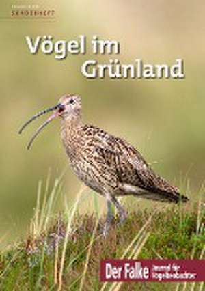 Vögel im Grünland de Redaktion Der Falke