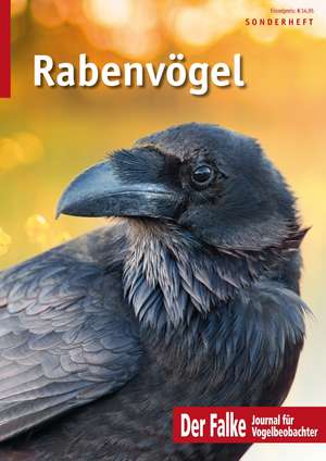 Rabenvögel de AULA-Verlag/Falke Redaktion