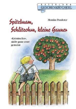 Spitzbuben,Schlitzohren und kleine Gauner de Monika Pauderer