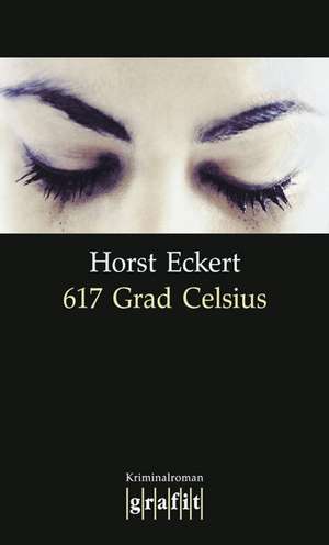 617 Grad Celsius de Horst Eckert