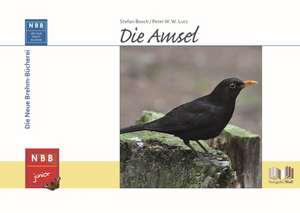 Die Amsel de Stefan Bosch