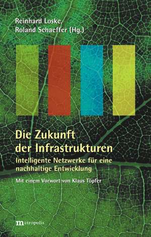 Die Zukunft der Infrastrukturen de Reinhard Loske