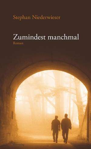 Zumindest manchmal de Stephan Niederwieser