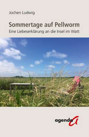 Sommertage auf Pellworm de Jochen Ludwig