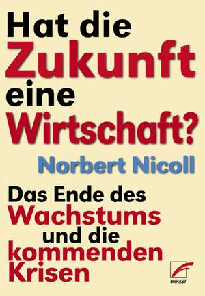 Hat die Zukunft eine Wirtschaft? de Norbert Nicoll