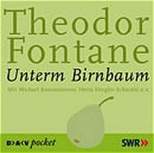 Unterm Birnbaum. 2 CDs de Theodor Fontane