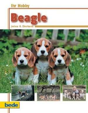 Ihr Hobby Beagle de Jochen H. Eberhardt