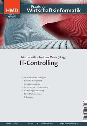 IT-Controlling de Martin Kütz