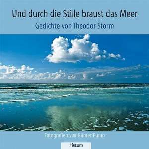 Und durch die Stille braust das Meer de Theodor Storm