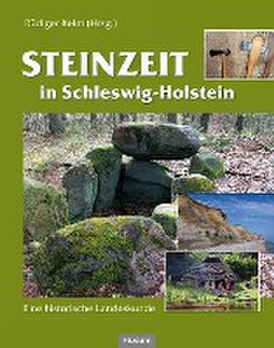 Steinzeit in Schleswig-Holstein de Rüdiger Kelm