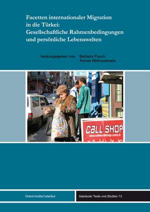 Facetten internationaler Migration in die Türkei: Gesellschaftliche Rahmenbedingungen und persönliche Lebenswelten de Barbara Pusch