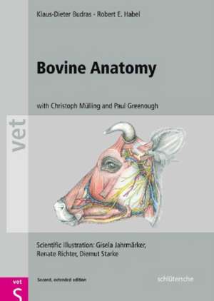 Bovine Anatomy de Klaus-Dieter Budras