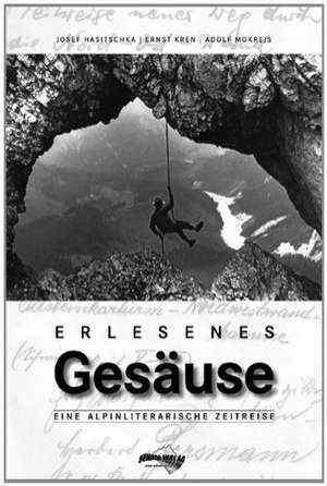 Erlesenes Gesäuse de Josef Hasitschka