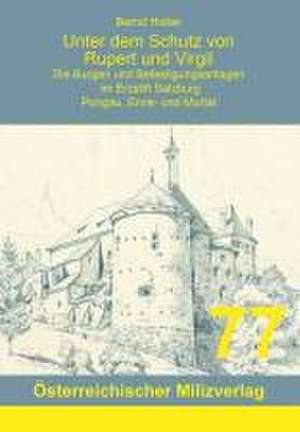 Unter dem Schutz von Rupert und Virgil, Band 6 de Bernd Huber