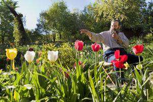 A 21st Century Garden de Georg Grabherr