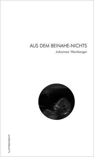 Aus dem Beinahe-Nichts de Johannes Weinberger