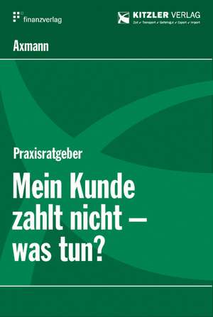 Mein Kunde zahlt nicht, was tun? de Michael Axmann