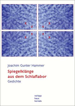 Spiegelklänge aus dem Schlaflabor de Joachim Gunter Hammer