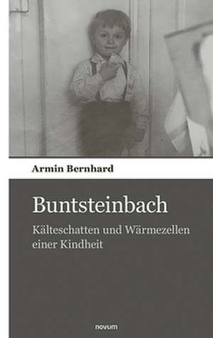 Buntsteinbach de Armin Bernhard