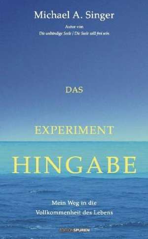 Das Experiment Hingabe de Michael A. Singer