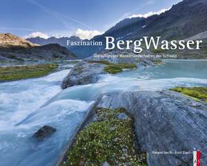 Faszination Bergwasser de Roland Gerth